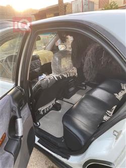 اوبل أوميغا